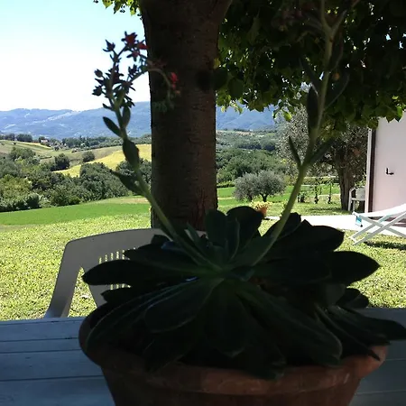 Masseria Spadone Alloggio per agriturismo *